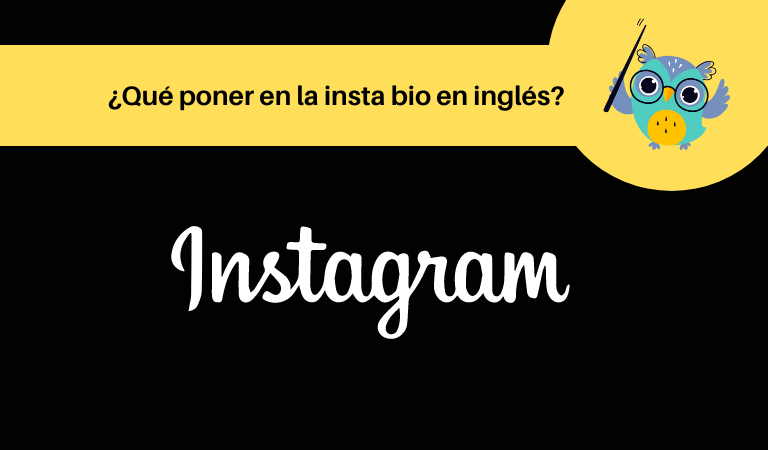 Qué poner en la insta bio en inglés