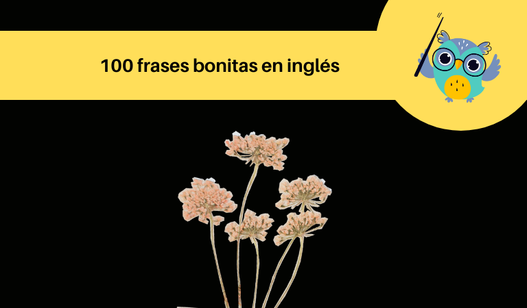 Frases Bonitas En Ingl S Ingl S Para Viajar